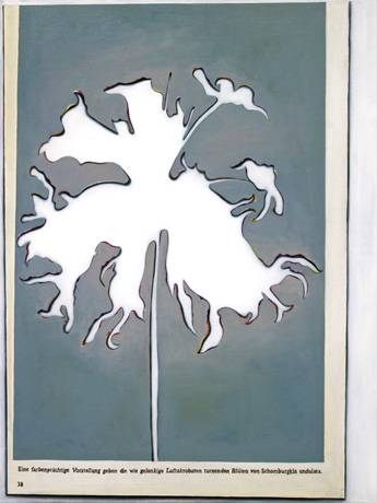 Andrea Giuseppe Corciulo  &raquo; Klicken zum Vergr&ouml;ssern ->