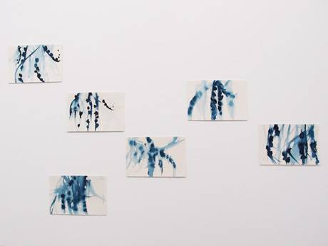 Ladina Gaudenz  » Klicken zum Vergrössern ->