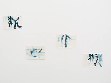 Ladina Gaudenz  » Klicken zum Vergrössern ->