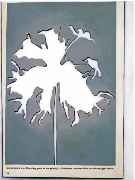 Andrea Giuseppe Corciulo  » Klicken zum Vergrössern ->