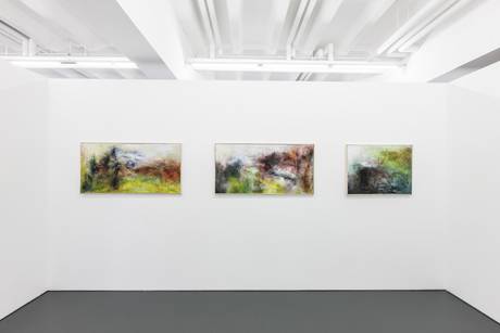 Reto Cavigelli, enclars e pitgognas  » Klicken zum Vergrössern ->