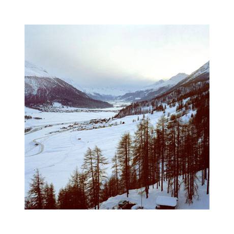 Corina Bezzola  » Klicken zum Vergrössern ->