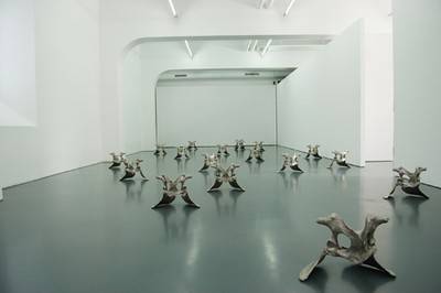 Pelvis, 2009.  » Klicken zum Vergrössern ->