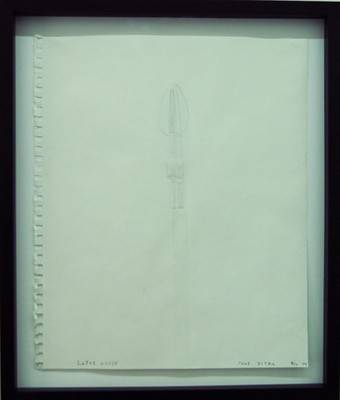 Lotus House, 2009.  » Klicken zum Vergrössern ->