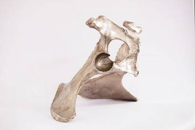 Pelvis, 2009.  » Klicken zum Vergrössern ->